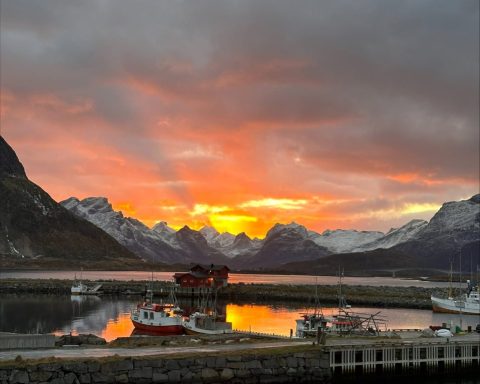 Fiske i Lofoten. Foto fra Norges Kystfiskarlag.